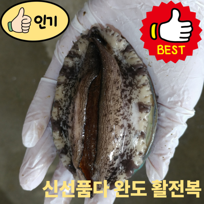 신선품다 완도 활전복 왕특대 완도산 직거래 산소포장 프리미엄 산지직송, 1박스, 1kg(5~6미)