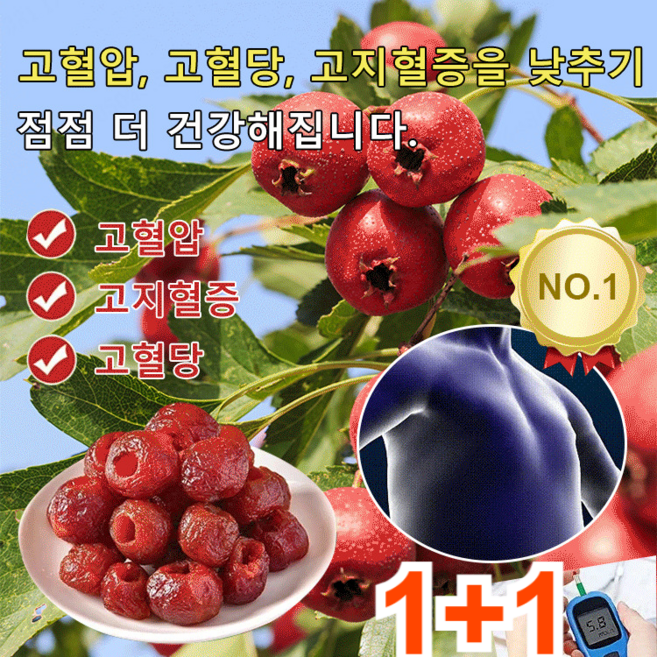 1+1 고지혈증을 낮추는 씨 없음 공심 산사 산사열매 탕후루 산사 열매환