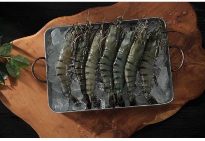 캠핑 선물용 블랙타이거 새우, 2개, 500g(10미)