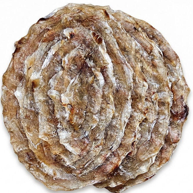 동명상회 두꺼운 참쥐포, 1개, 200g