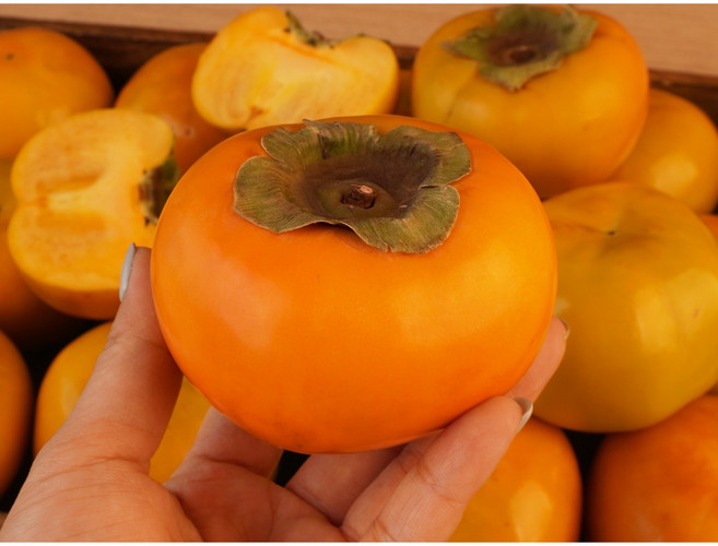 달고 부드러운 단감 겨울 간식 과육 신선 단감 피부미용 단감, 1박스, 5kg 중대과(17-26과)