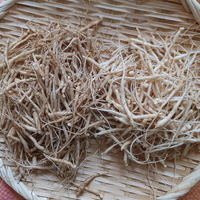 1년근 미삼 400g 가는 애기삼만 포장 반찬용 미삼, 1개