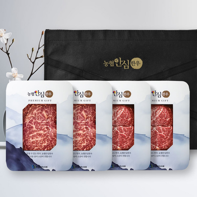 농협안심한우 1+등급 한우 선물세트 5호 등심+등심+국거리+국거리/각300g/총1.2kg, 1.2kg, 1세트
