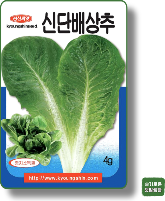 신단배상추 씨앗 4g 경신종묘 종자 모종 작물 텃밭 채소씨앗 담배상추 쌈, 1개