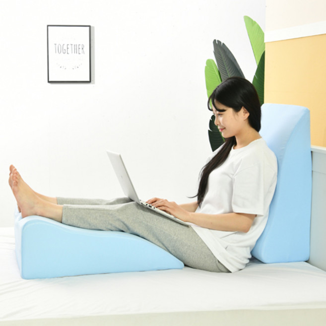 고니자니 스마트 리빙 다리베개, 연블루, 1개