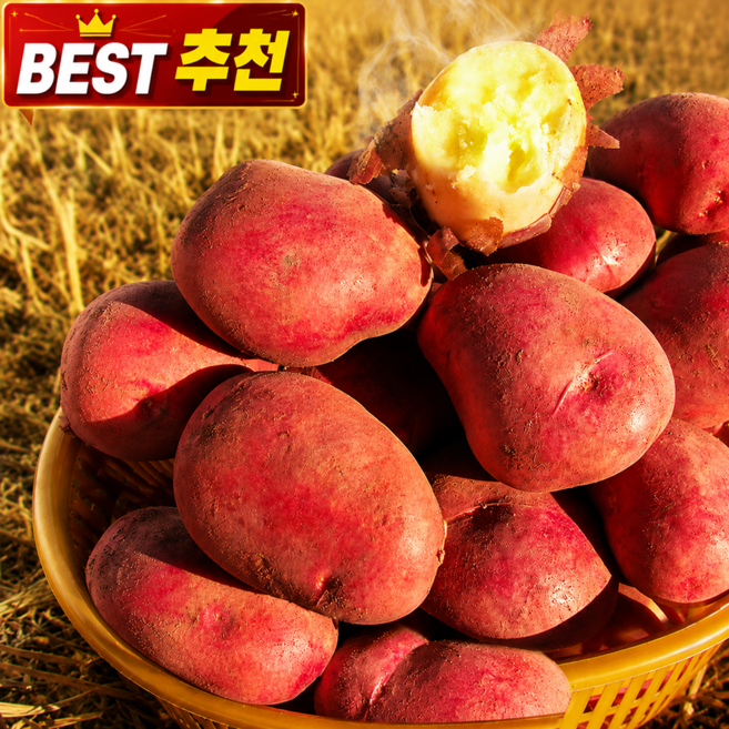 [2026년수확] 산지직송 국내산 카스테라 홍감자, 1박스, 3kg (대)
