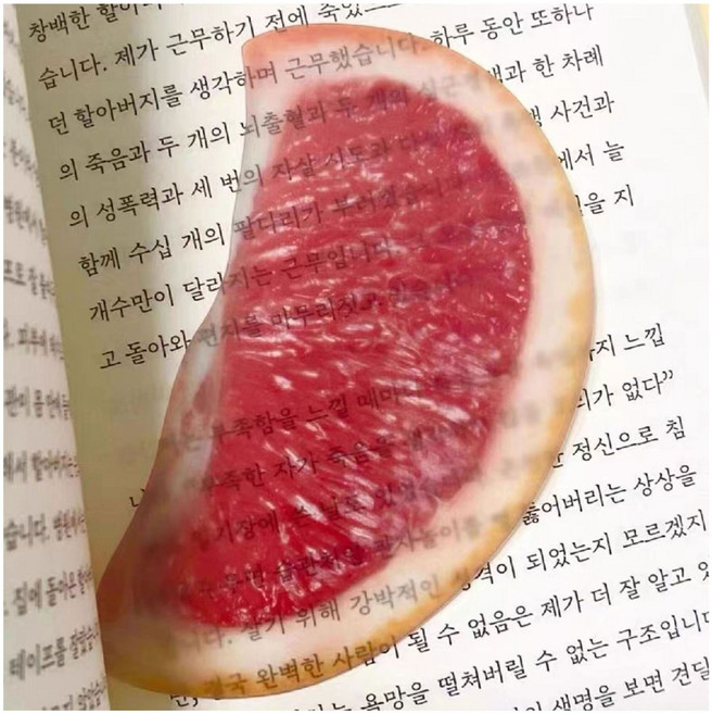 5위 - 북마크 과일 책갈피 반투명 북클립, 3개, 자몽
