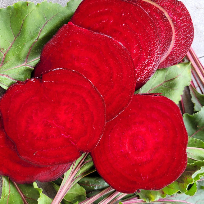 정이가 고당도 햇 비트 레드비트 제주비트, 1박스, 2kg(특품)