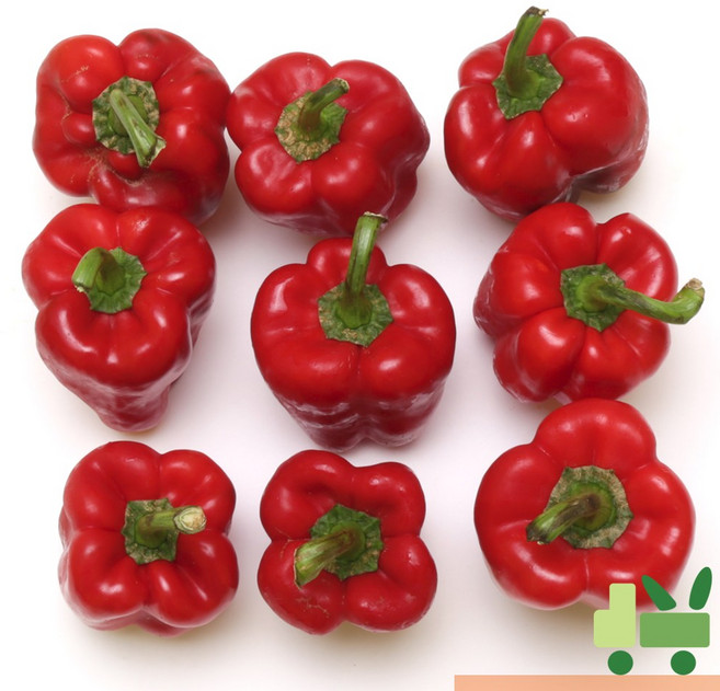 사라상회 홍피망 2Kg (상), 1개