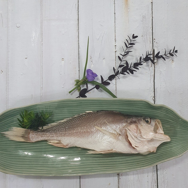 부산 반건조 생선 침조기 특대 제수용 선물용 이바지용, 1개, 1마리 42cm내외/580g~660g