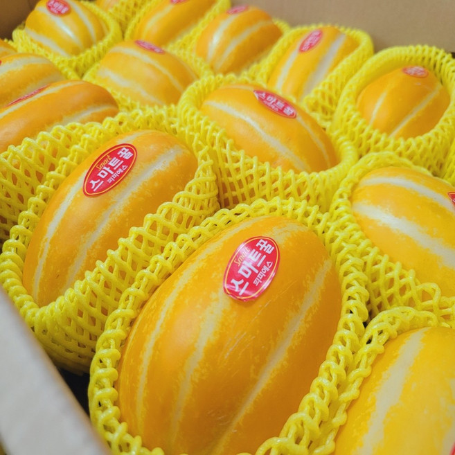 당일수확 제철 성주 고당도 꿀참외, 1박스, 소2kg