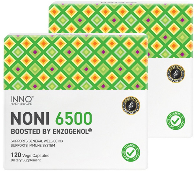 이노 뉴질랜드 노니직구 노니농축파우더 NONI 6500mg 120캡슐 2개, 240정, 1개