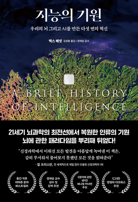 3위 - 지능의 기원:우리의 뇌 그리고 AI를 만든 다섯 번의 혁신, 더퀘스트, 맥스 베넷