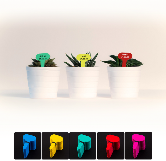 진행안함, 5x7cm, 100개, 혼합