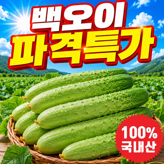 [국내최저가] 100% 산지직송 오이 오이지 백오이, 1박스, 2kg 내외