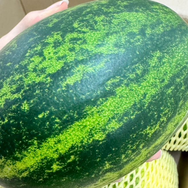 굿피플 못난이파파야메론 개구리참외 메론 멜론, 1박스, 못난이 파파야메론 5kg 랜덤과