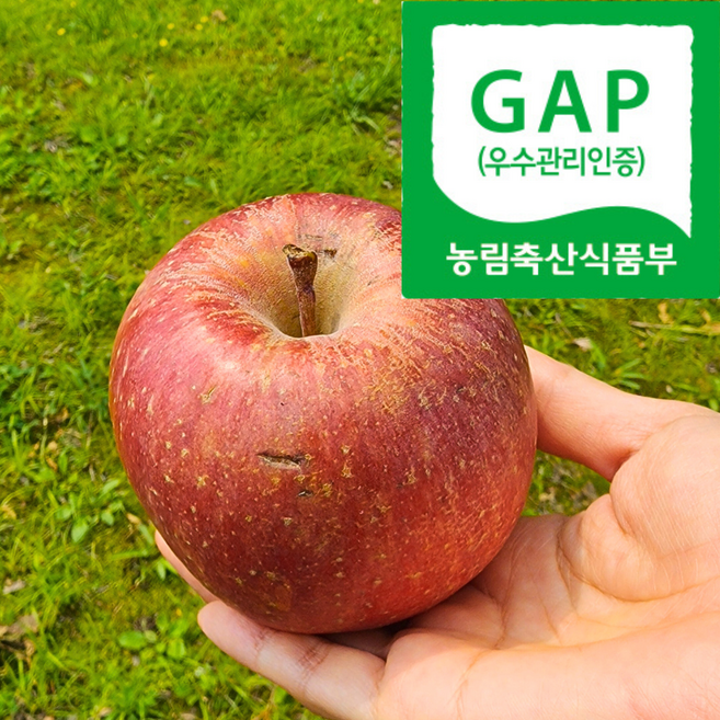 [농약안심] 쿠팡한정기획 가정용흠과A급 부사 꿀사과, 1박스, 1.5kg(중소과)