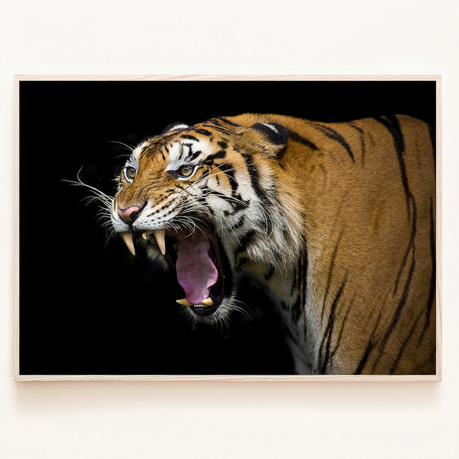 포효하는 호랑이 액막이 나쁜기운 몰아내는 수호신 풍수 부적 액자, 00. 포스터만(액자없음)