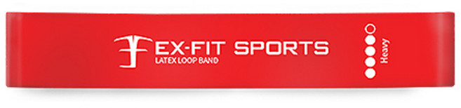 엑피트 라텍스 루프밴드 운동시설 대량납품등급, 4단계 레드, 1개