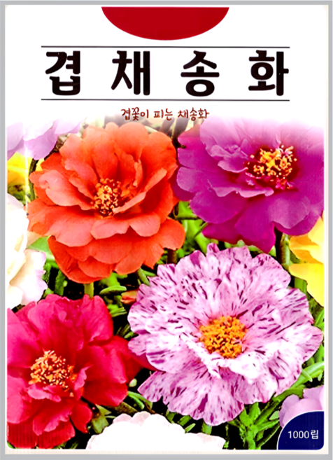 겹채송화 혼합 씨앗(1000립)채송화 꽃씨 종묘 종자 씨 영웅 KS, 1개