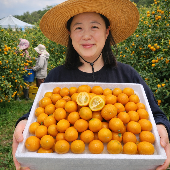 [프리미엄1%] 초고당도 산지직송 제주 금귤 낑깡, 1개, 금귤1kg