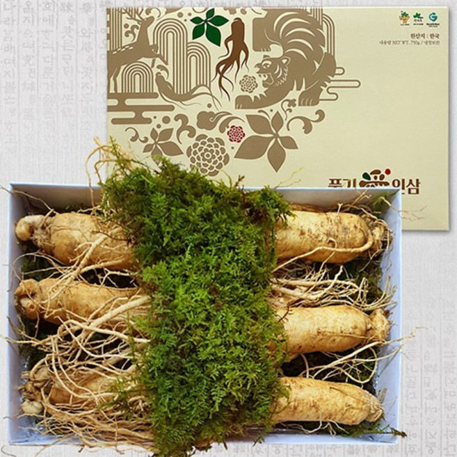 풍기인삼 6년근 인삼 수삼 750g, 원수삼(왕대) 5~6뿌리, 1개