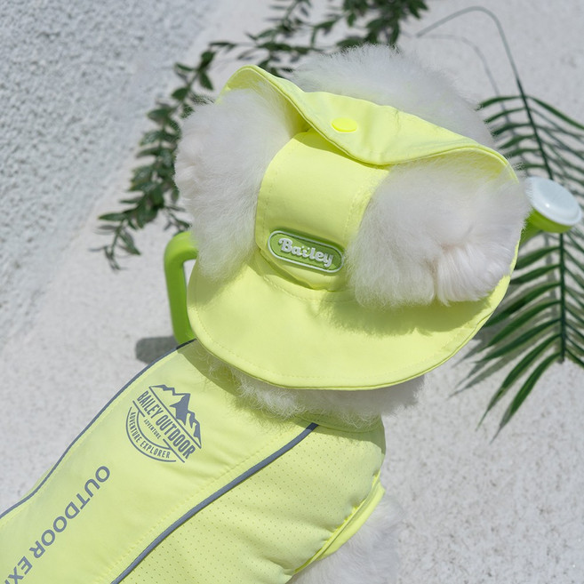 베일리펫 강아지썬캡 애견모자 여름 자외선차단 UV쿨링캡, 1개, 라임