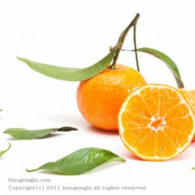 만다린 Mandarin E.O /에센셜오일, 100ml, 100ml