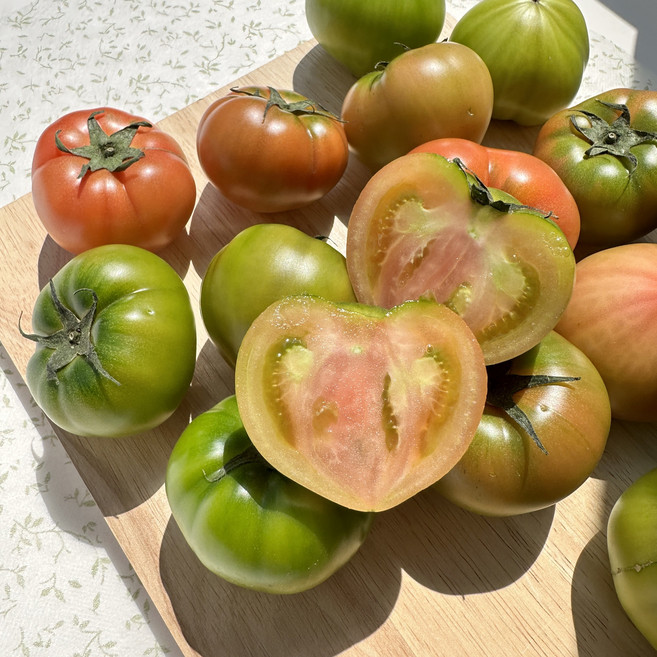 농장직송 특품 짭짭이 대저토마토_M 2.5kg, 1박스