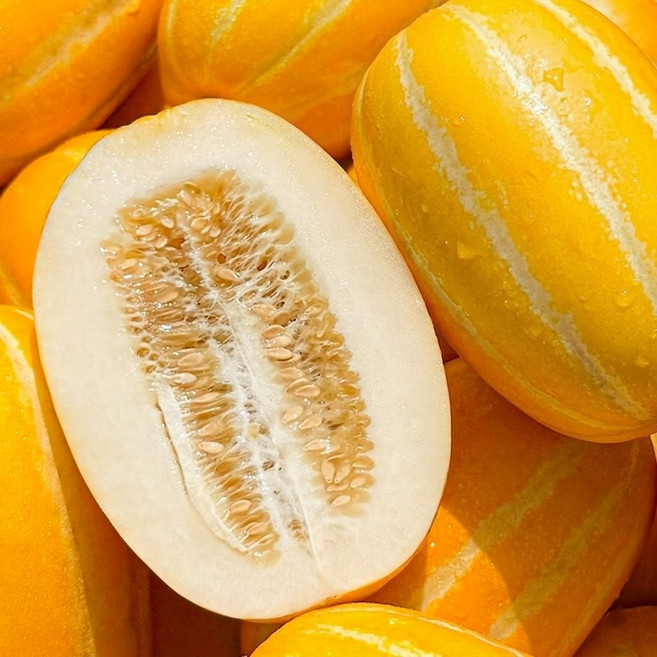 산지직송 고당도 성주 참외 칼리스팜, 1개, 가정용 랜덤과 5kg