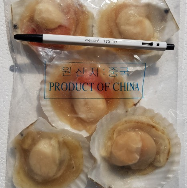 프라임 냉동가리비, 5~6미/180gr, 1개