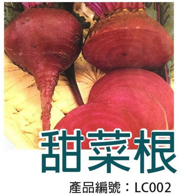 【醬米資材】DIY甜菜根種子 - 家庭園藝盆栽 體驗種植樂趣, 1個, 紫紅色