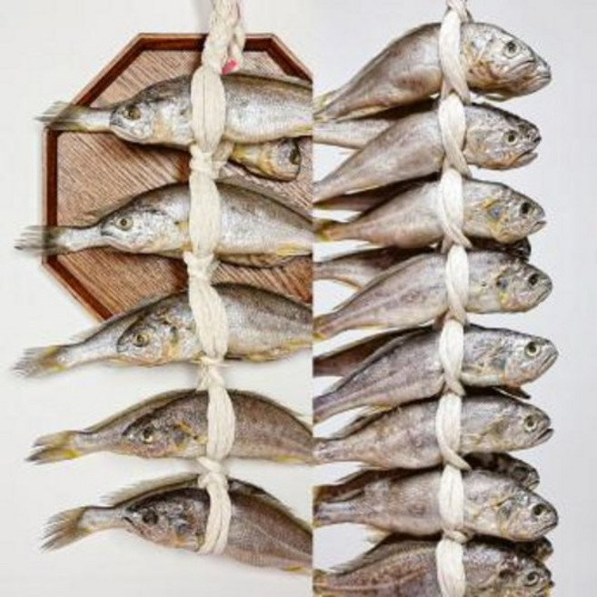 영광굴비 국산 참조기 가정용 20미 / 아이 부모님 밥반찬 선물용, 사이즈 19-20cm(1.6kg 내), 1개