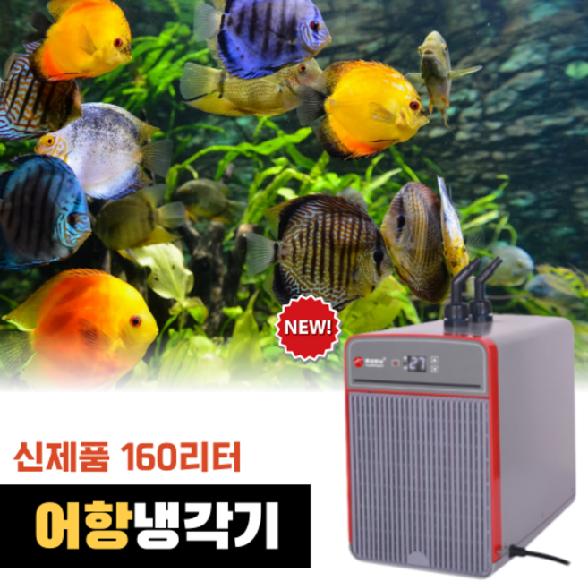 KIYOAL 어항 수조 수족관 냉각기 해수 담수 자동 온도조절기, 1개