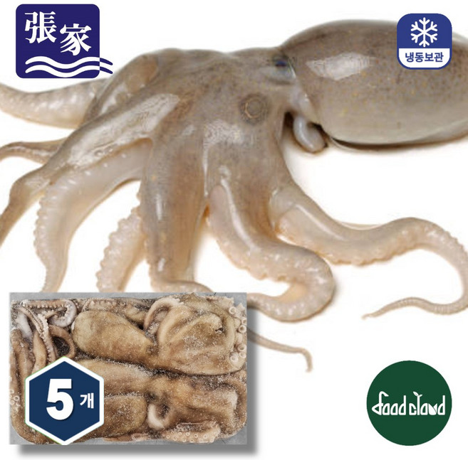 냉동 활낙지 대용량 낙지 850g, 5개, 850g (3미)