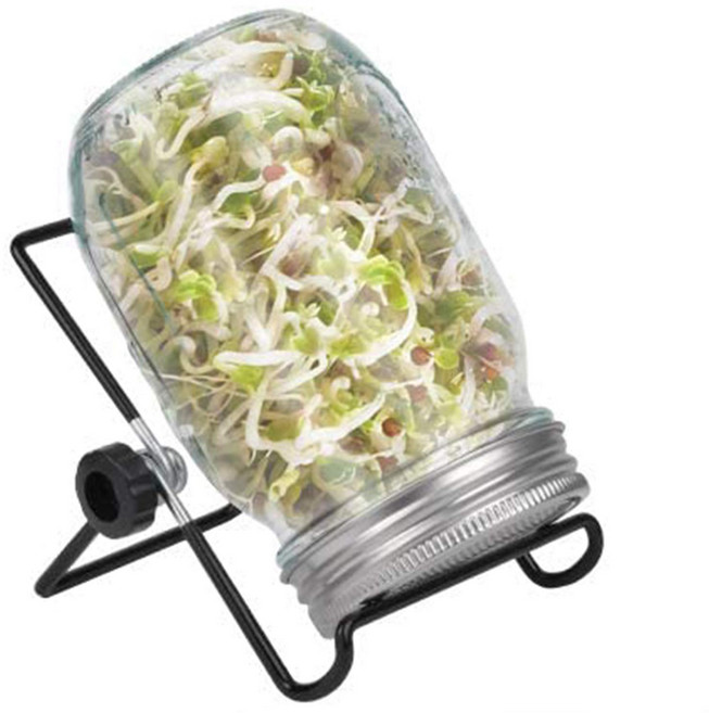새싹 재배 키트 넓은 입 쿼트 메이슨 병 스크린 새싹 뚜 Sprouting Jar Kit Wide Mouth Quart Mason Jars with Screen Sprout, 1, 1개