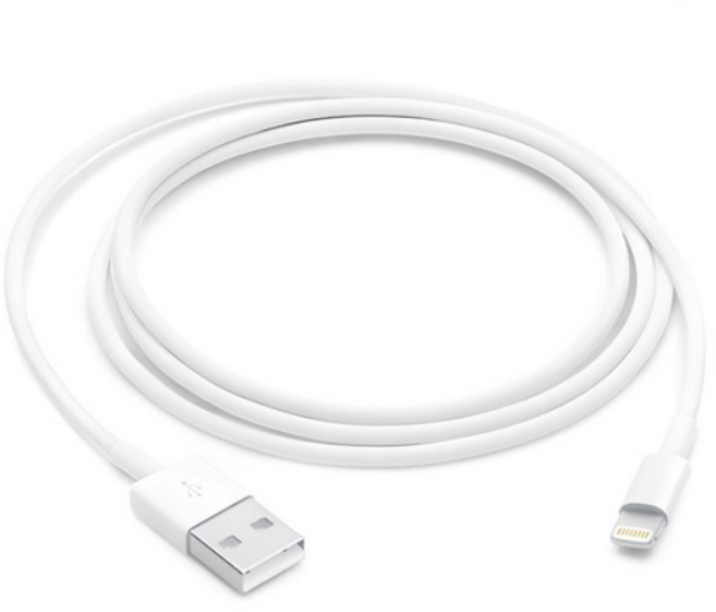 Apple 라이트닝 USB 케이블, 100cm, 1개