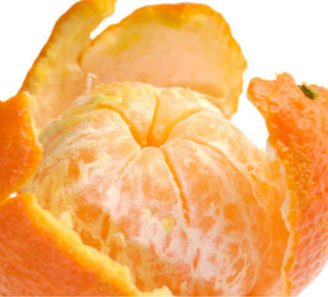 [굿피플] 감귤 노지감귤 귤 노지귤 제주감귤, 1박스, 노지감귤 5kg 랜덤과