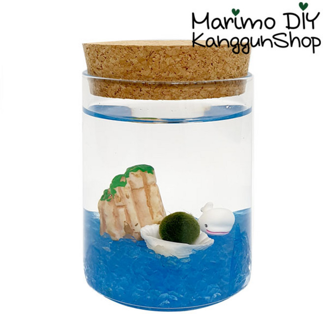 마리모 포함 키우기 바위돌고래 콜크자150ml 유리병 세트, 1개