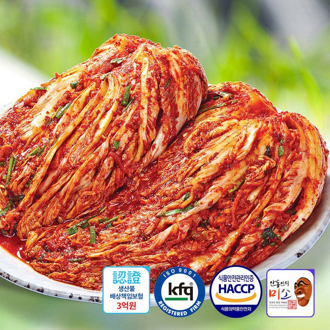 학가산 생김치 고랭지 배추 포기김치 5kg, 1개