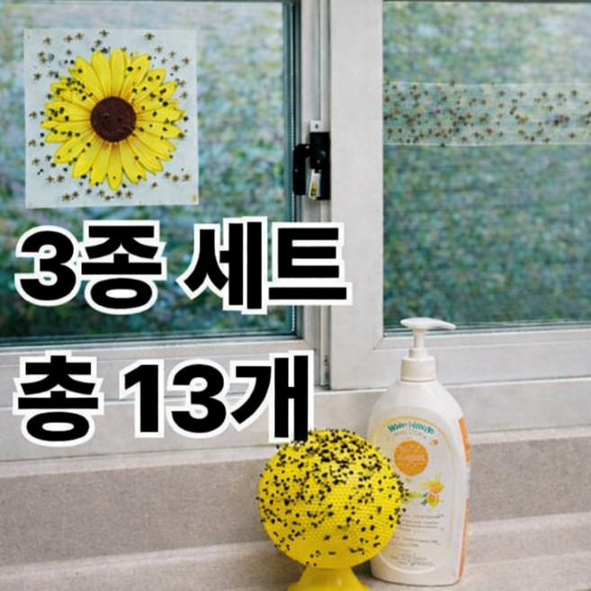 러시핀 초파리 뿌리 날파리 박멸 퇴치 끈끈이 트랩, 13개, 60g