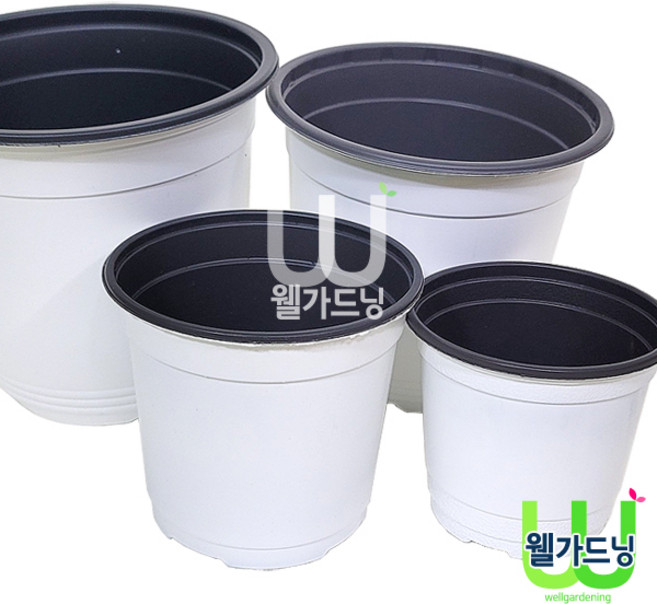 조이가든센터 칼라포트- 백색, 화이트