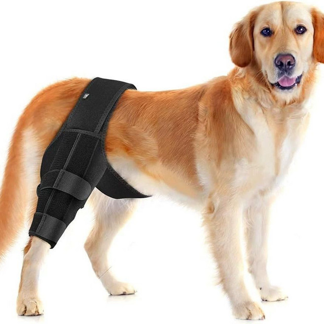 강아지 슬개골 보조기구 대형견 견인 보조 뒷다리 보행 벨트 보조기, 1단계 관절염 보호대 PE지지포함, XS, 1L, 1