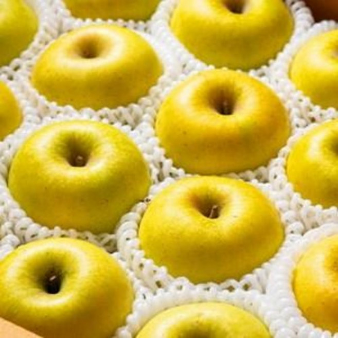 시나노골드 황금사과 노란사과 고당도 16brix 정품 개별망포장 선물용, 중소과 7-9과 (개별망) 2kg