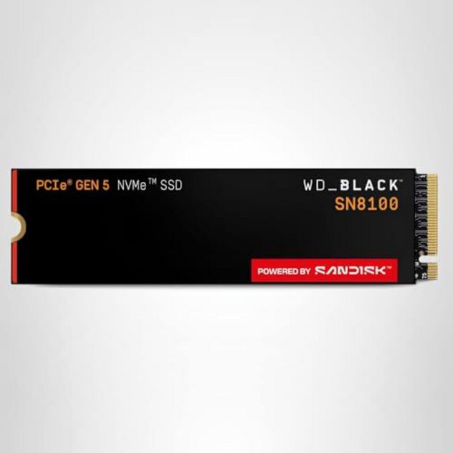 WD 블랙 SN8100 2TB NVMe M.2 SSD PCIe 5.0, 1TB, SSD와 히트싱크