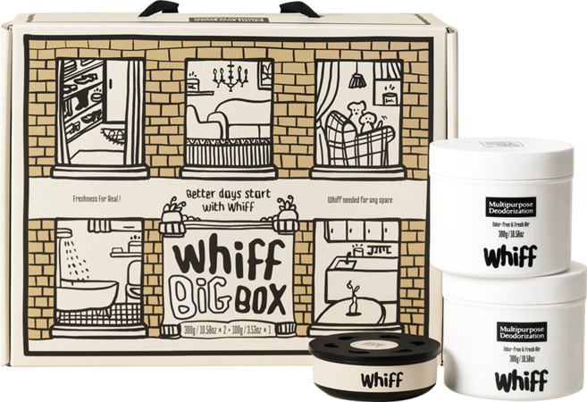 위프 탈취제 BiG Box 빅박스 선물세트 WHIFF 집들이선물 집안 차안 냄새 제거, 1개, 300g