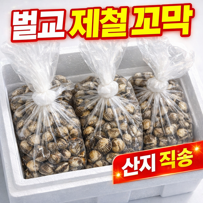 [특선] 벌교 꼬막 제철 산지직송 새꼬막, 1개, 3kg (대)
