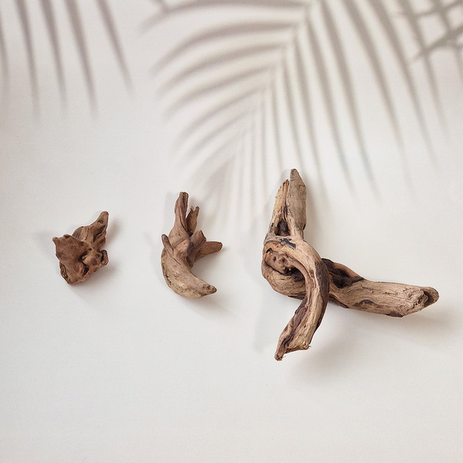천연나무 유목 테라리움 비바리움 장식용 (8cm 15cm 20cm 내외), S(8cm 내외)