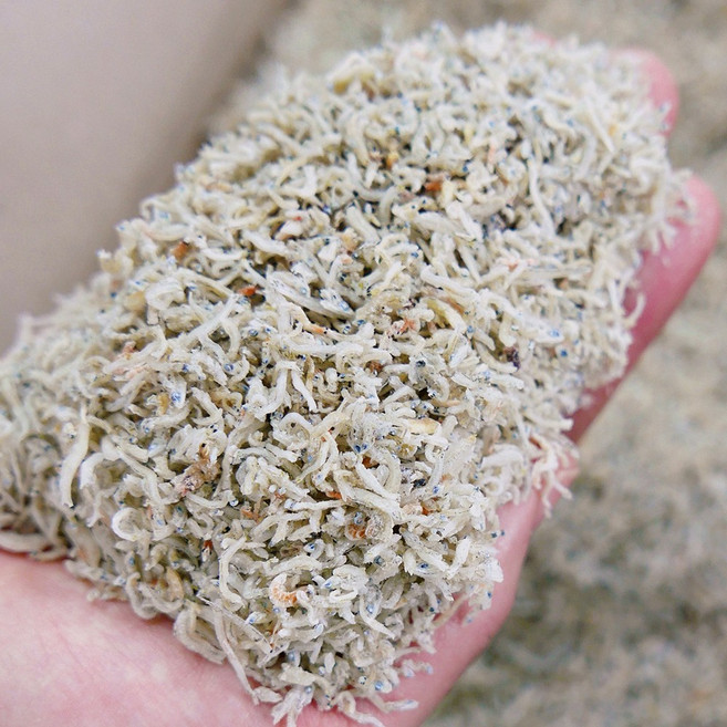 가락시장521 국산 햇 지리멸치 1.5kg 남해 어린이용 잔멸치 볶음용 세세멸치, 1개