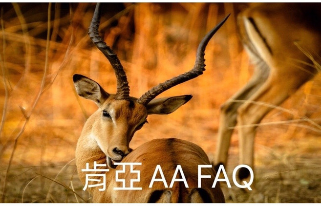 肯亞AA FAQ 四季生豆特選, 1個